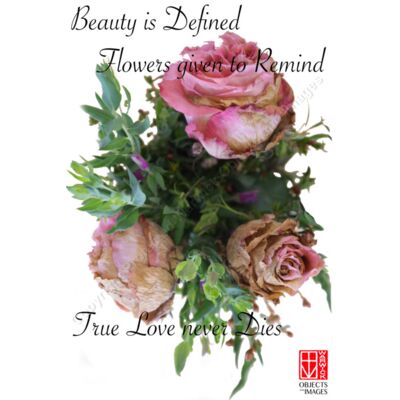 Roses-Haiku Thumbnail