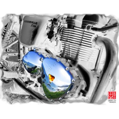 Heart of Fire, T Shirt print Thumbnail